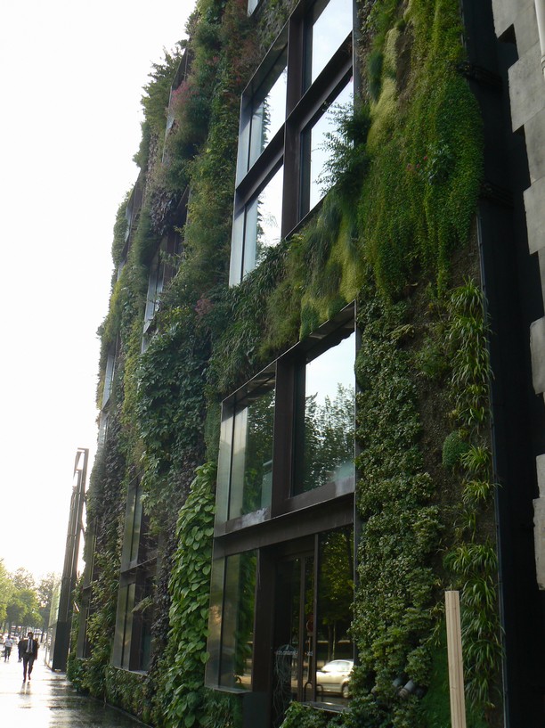 le mur vegetal quai branly: exterieur musee quai branly 023